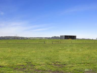 Farm For Sale - VIC - Inverloch - 3996 - GREAT LOCATION - QUALITY GRAZING!  (Image 2)