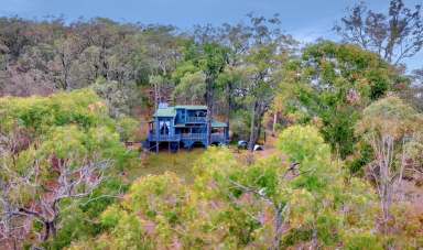 Farm For Sale - NSW - Wollombi - 2325 - 'Pemmenunna'  (Image 2)