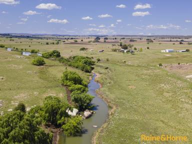 Farm For Sale - NSW - Glen Innes - 2370 - Picturesque Acreage  (Image 2)