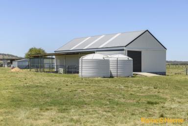 Farm For Sale - NSW - Glen Innes - 2370 - Picturesque Acreage  (Image 2)