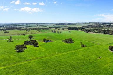 Farm For Sale - NSW - Taralga - 2580 - Small farm, ready to stock!  (Image 2)