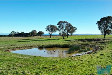 Farm Sold - VIC - Lindenow South - 3875 - PRIME GRAZING PROPERTY  (Image 2)