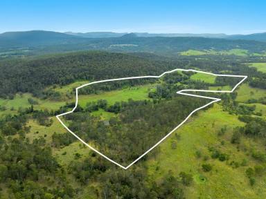 Farm For Sale - NSW - Bean Creek - 2469 - Tranquility  (Image 2)