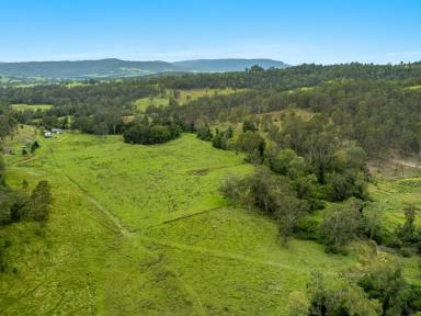 Farm For Sale - NSW - Bean Creek - 2469 - Tranquility  (Image 2)