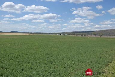 Farm For Sale - QLD - Grosvenor - 4627 - A CREEK ROAD - A+ OPPORTUNITY  (Image 2)