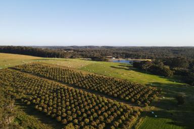 Farm Sold - WA - Northcliffe - 6262 - Mixed Farming and Lakeside Home 43.3848* Ha (approx. 107.2 Ac)  (Image 2)