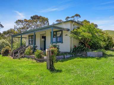 Farm For Sale - VIC - Agnes - 3962 - Productive land, period home, Prom views  (Image 2)