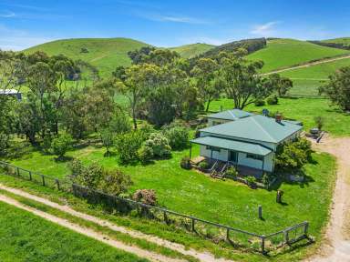 Farm For Sale - VIC - Agnes - 3962 - Productive land, period home, Prom views  (Image 2)