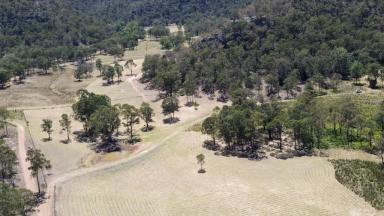 Farm For Sale - nsw - Sandy Hollow - 2333 - Cabin on 40 Acres  (Image 2)