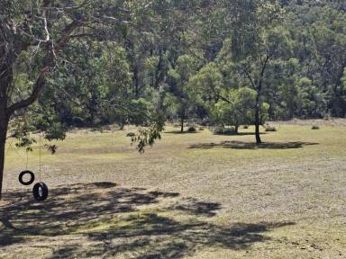 Farm For Sale - nsw - Sandy Hollow - 2333 - Cabin on 40 Acres  (Image 2)