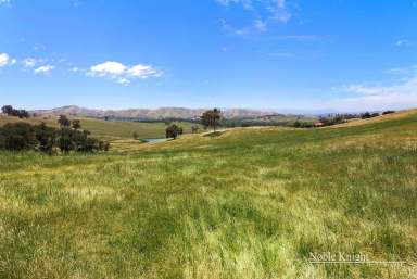 Farm For Sale - VIC - Yea - 3717 - "How's the Serenity" on 50 Acres Approx  (Image 2)