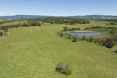 Farm For Sale - NSW - Dunmore - 2529 - Coastal & Country Escape - Deceased Estate Sale  (Image 2)