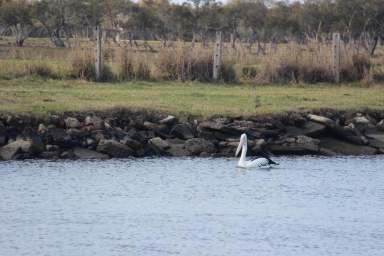 Farm Sold - NSW - Palmers Channel - 2463 - Boutique Rural Paradise  (Image 2)