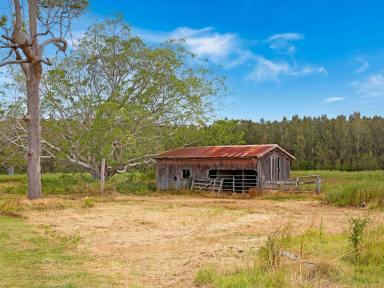 Farm For Sale - NSW - Palmers Channel - 2463 - Boutique Rural Paradise  (Image 2)