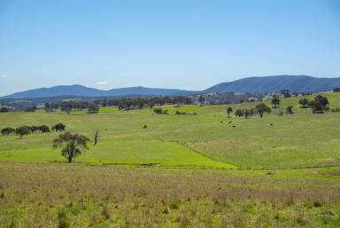 Farm For Sale - NSW - Bathurst - 2795 - “Don Lee” Brewongle
-
437 acres*  (Image 2)