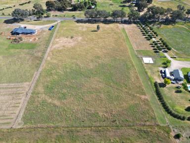Farm For Sale - NSW - Table Top - 2640 - “We have the canvas, could you be the artist?”  (Image 2)