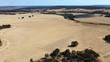 Farm For Sale - WA - Toodyay - 6566 - Mixed Farming Opportunity  (Image 2)