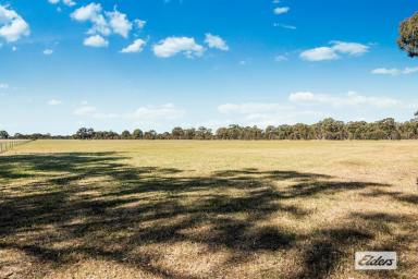 Farm For Sale - VIC - Kurting - 3517 - Lifestyle and Recreation  (Image 2)
