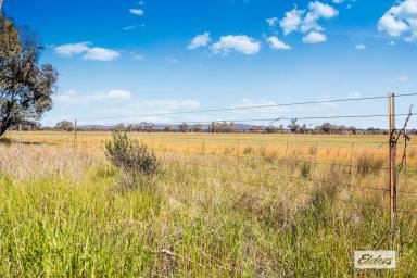 Farm For Sale - VIC - Kurting - 3517 - 154 Ac for Cropping or Grazing  (Image 2)