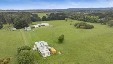Farm For Sale - VIC - Moorooduc - 3933 - Spacious Family Home On 20 Blissful Acres  (Image 2)