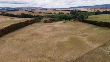 Farm For Sale - NSW - Countegany - 2630 - COUNTEGANY STATION  (Image 2)