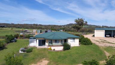 Farm For Sale - NSW - Inverell - 2360 - Peaceful Retreat Living on Acreage  (Image 2)
