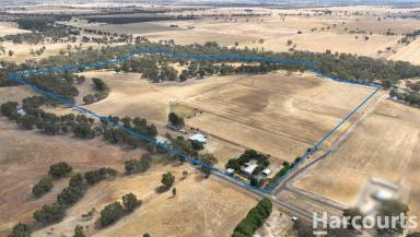 Farm Sold - VIC - Quantong - 3401 - 86 Acres with Wimmera River Frontage  (Image 2)