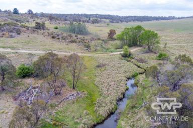 Farm Sold - NSW - Glen Innes - 2370 - Secluded Lifestyle Oasis  (Image 2)