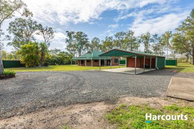 Farm Sold - QLD - Redridge - 4660 - DID SOMEONE SAY SHED SPACE !!!!  (Image 2)