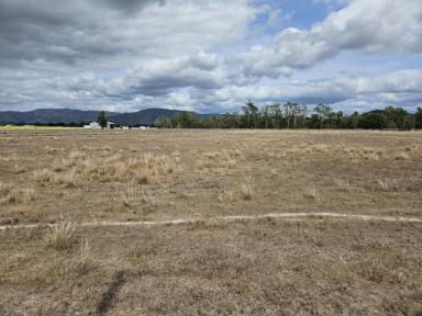 Farm For Sale - QLD - Upper Stone - 4850 - 2.023 HECTARES (OVER 4.9 ACRES) WEST OF INGHAM!  (Image 2)