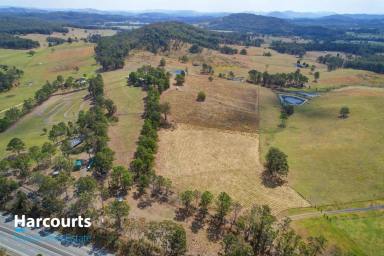 Farm Sold - NSW - Nabiac - 2312 - YES YOU CAN HAVE IT ALL  (Image 2)