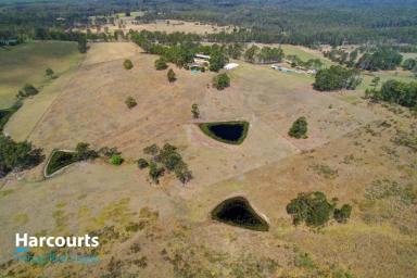 Farm Sold - NSW - Nabiac - 2312 - YES YOU CAN HAVE IT ALL  (Image 2)