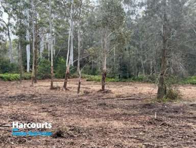 Farm For Sale - NSW - Failford - 2430 - Exclusive 6- acre vacant land in Failford  (Image 2)