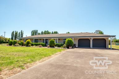 Farm Sold - NSW - Glen Innes - 2370 - 3 Acres with Comfortable Brick Home  (Image 2)