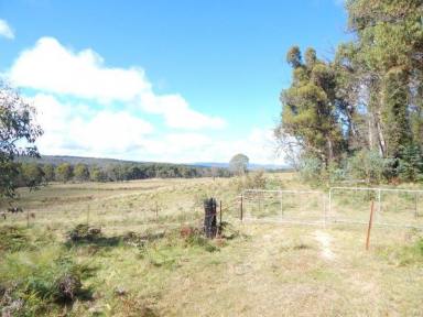 Farm For Sale - NSW - Countegany - 2630 - 110 Acres – 100% Bushland  (Image 2)
