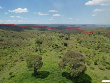 Farm For Sale - QLD - Monto - 4630 - "Stewarts"  (Image 2)