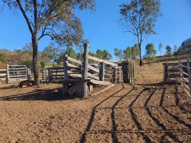 Farm For Sale - QLD - Monto - 4630 - Tourism or Paddock to Plate Potential!  (Image 2)