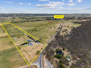 Farm For Sale - NSW - Collector - 2581 - The Rural Lifestyle At Its Best !  (Image 2)
