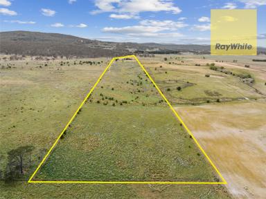 Farm For Sale - NSW - Collector - 2581 - The Rural Lifestyle At Its Best !  (Image 2)