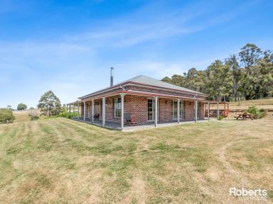 Farm For Sale - TAS - Hillwood - 7252 - Delightful Country Lifestyle on 8.33 acres  (Image 2)