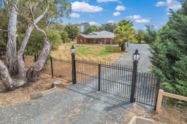 Farm Sold - VIC - Echuca - 3564 - A Little Piece Of Country  (Image 2)
