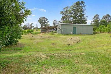 Farm For Sale - QLD - Victory Heights - 4570 - VICTORY HEIGHTS  (Image 2)