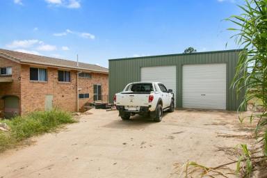 Farm For Sale - QLD - Victory Heights - 4570 - VICTORY HEIGHTS  (Image 2)
