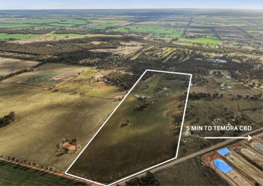 Farm For Sale - NSW - Temora - 2666 - 84ac - DWELLING ENTITLEMENT - 3.6km FROM CBD - TOWN WATER CONNECTED  (Image 2)