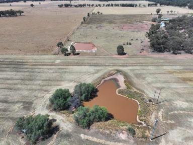 Farm For Sale - NSW - Temora - 2666 - Lifestyle Opportunity On The Edge Of Temora  (Image 2)