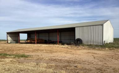 Farm For Sale - VIC - NETHERBY via NHILL – WEST WIMMERA - 3418 - "BILL'S" - PRODUCTIVE & VERSATILE LAND WITH SCALE AND SCOPE IN THREE TITLES, SOWN TO CANOLA & BARLEY FOR 2024 SEASON.  (Image 2)