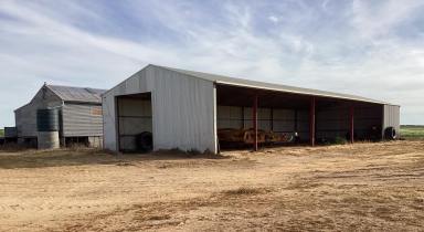 Farm For Sale - VIC - NETHERBY via NHILL – WEST WIMMERA - 3418 - "BILL'S" - PRODUCTIVE & VERSATILE LAND WITH SCALE AND SCOPE IN THREE TITLES, SOWN TO CANOLA & BARLEY FOR 2024 SEASON.  (Image 2)