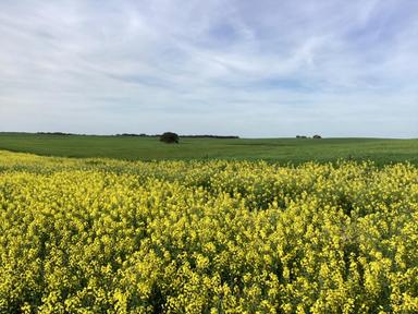 Hiscock's / O'Dea's / Zanker's Roads, Netherby Via Nhill – West Wimmera VIC 3418