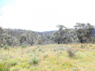 Farm Sold - NSW - Peak View - 2630 - 1265 Acres – 2 Cabins – Good Good Road  (Image 2)
