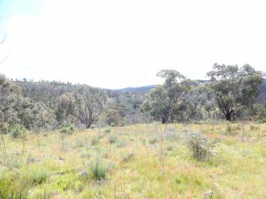 Farm Sold - NSW - Peak View - 2630 - 1265 Acres – 2 Cabins – Good Good Road  (Image 2)